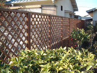 Latis fence